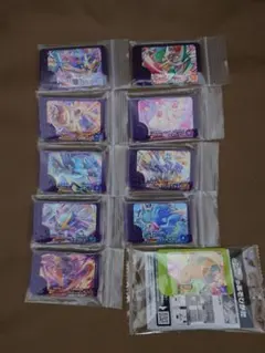 ポケモンフレンダ　スーパートレジャー　9セット　スペシャル　タケルライコ