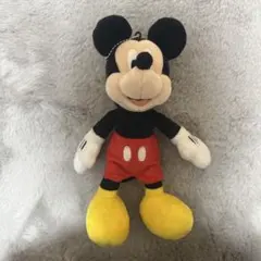 ミッキー ぬいば　ぬいぐるみバッジ　ディズニー　パスケース　ショルダーバッグ
