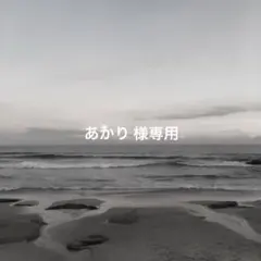 あかり様専用 ネイルチップ