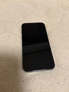 Apple iPhone 13Pro 256GB おまけ付