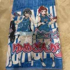 ゆめぎんがパラダイス タオル　クリアファイル