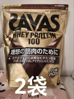 2026年最新】明治ザバスホエイプロテイン100リッチショコラ味の人気 