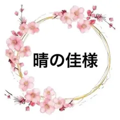 晴の佳様専用♥️
