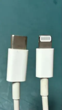 Lightningケーブル2本　Type-AとType-C純正