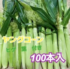 ak119ハウス葉付 ヤングコーン 山梨県産 100本以上 ベビーコーン 朝