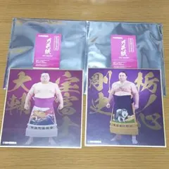 Item thumbnail for item cd7eff33-aadb-4f72-88fc-f77fc47d78bc