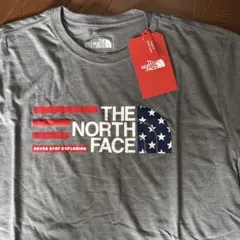 未使用US正規品 THE NORTH FACE AMERICANA TEE XL
