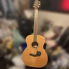 Takamine エレアコ PT-007N - メルカリ