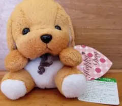 レトロ たけのこ joyful mates ぬいぐるみ 8こセット 中古品 - メルカリ