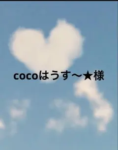 cocoはうす～★様 リクエスト 2点 まとめ商品