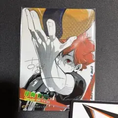 ハイキュー!! バボカ!! BREAK 極P 日向翔陽 サイン・シリアルNo.入 バボカ】日向 翔陽〔サイン/シリアルNo.0026〕【極】HV-P01-004