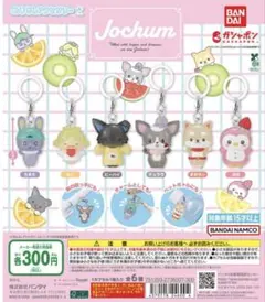 Jochumめじるしアクセサリー2