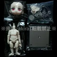 ねんどろいどどーる ヴァンパイア カミュ 顔 身体 フェイス ボディ boy