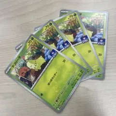 チコリータ【プロモ4枚セット】