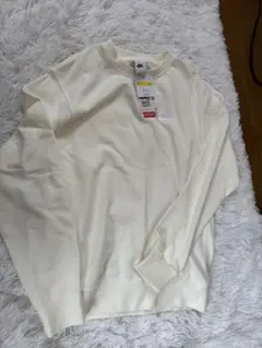 Item thumbnail for item d6e9c3fb-6f62-462e-bf94-b5f2361d49bd