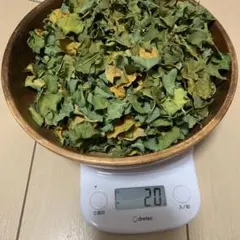 Item thumbnail for item 54679e93-fa94-4f0c-8ce1-ce2e1f852479