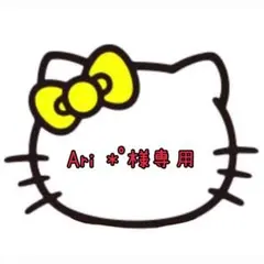 Ari♥︎︎∗︎*゜様専用