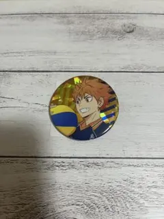 ハイキュー　ゴミ捨て場の決戦展　日向翔陽　缶バッジ