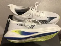 大人気！全日本 宮浦健人選手着用 新製品MIZUNO ネオジャンプ26.0