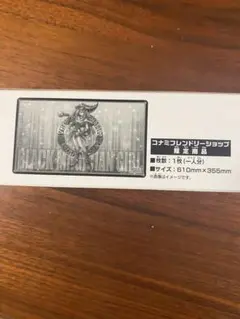 遊戯王　デュエルフィールド　ブラックマジシャンガール