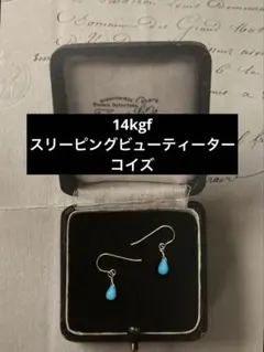 スリーピングビューティーターコイズ 一粒ピアス - メルカリ