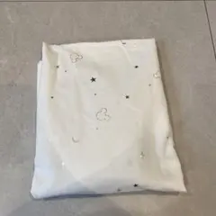 レースカーテン 2枚組 ディズニー ミッキー柄