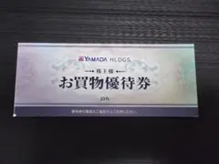 ヤマダ電機 株主優待 お買物優待券 500円券×10枚 5000円分