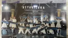 欅坂46 ポスター　プラ素材のサムネイル