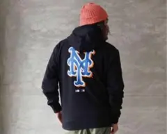 Item thumbnail for item 1d039531-3386-4a14-9a95-786a80e92382