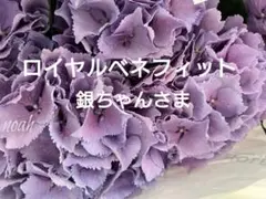 ご購入前にコメントお願いいたします 輸入アジサイ - メルカリ