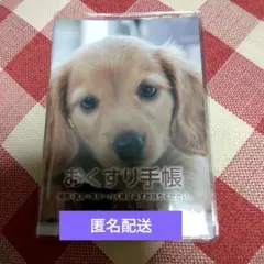 おくすり手帳 (カバー付き)