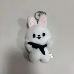 リービット　まとめ売り 2025年最新】リービット 10cmの人気アイテム - メルカリ