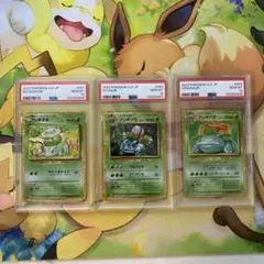 シバのカイリキー e VS Bruno's MACHAMP 1ED psa9 PSA 9 MINT Pokemon Bruno's Machamp Japanese VS Series 1st Edition