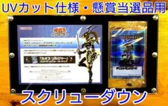 アクリルフレーム 遊戯王【懸賞当選品用・スクリューダウン】