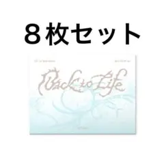 &TEAM Back to Life Photocard Box 8枚セット