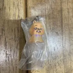 skzoo めじるしアクセサリー　ガチャガチャ　ハン　クォッカ