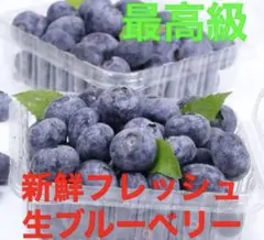 2025年最新】本日で出品終了と致します。の人気アイテム - メルカリ