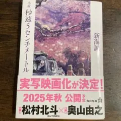 小説 秒速5センチメートル