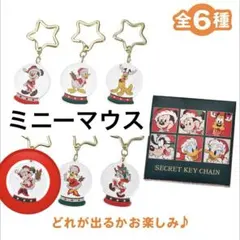 ディズニーストア　シークレットキーチェーン　ミニーマウス