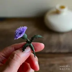 魔女の棲む森研究所】ドライフラワー 花材 アーティチョーク - メルカリ