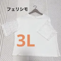 フェリシモ　　袖が花モチーフ　シアー　Tシャツ　3L 大きいサイズ　アイボリーのサムネイル