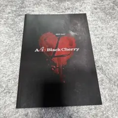 2026年最新】Acid Black Cherry写真集の人気アイテム - メルカリ