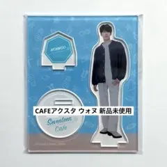 SEVENTEEN CAFE ウォヌ アクリルスタンド 2020 - メルカリ