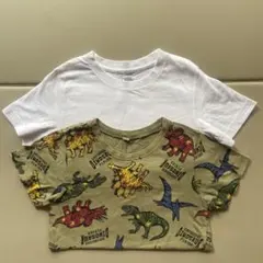 恐竜柄カモフラージュTシャツとホワイトTシャツセット