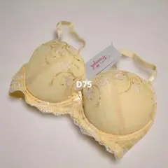 Item thumbnail for item bf2a4adb-ee5a-4f14-be8d-624268a04685