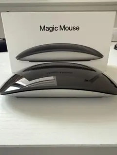 Magic Mouse ブラック 本体
