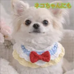 手編み風フリル首輪 装飾用　猫用 犬用　赤リボン 飾りネクタイ