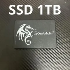 5794時間 SUNBOW X3 1TB SSD SATA - メルカリ