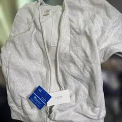 Item thumbnail for item 156d21f2-9c43-470b-aae0-13c4415dee42