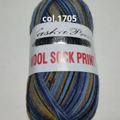スーパーウォッシュメリノ　ナスカ ウールソックプリント1705　約100g